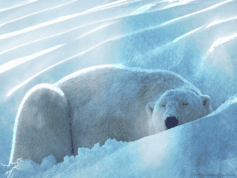 冬天移植试管注意试管要取几次精液试管 姐妹们肝素