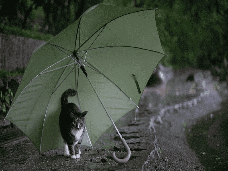 耐高温石英试管泰国染色体婴儿费用多少做了试管 腹痛出血